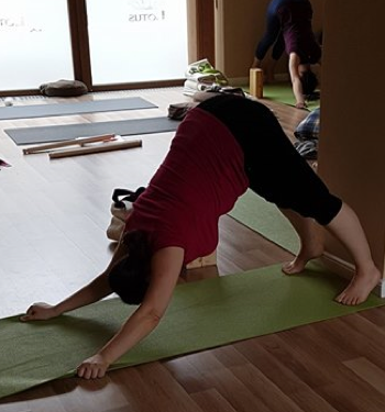 AMS = ADHO MUKHA SVANASANA (LEFELÉ NÉZŐ KUTYA)